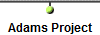 Adams Project